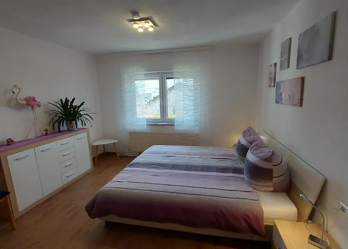 Appartement Ferienwohnung Bad Rappenau Bad Rappenau